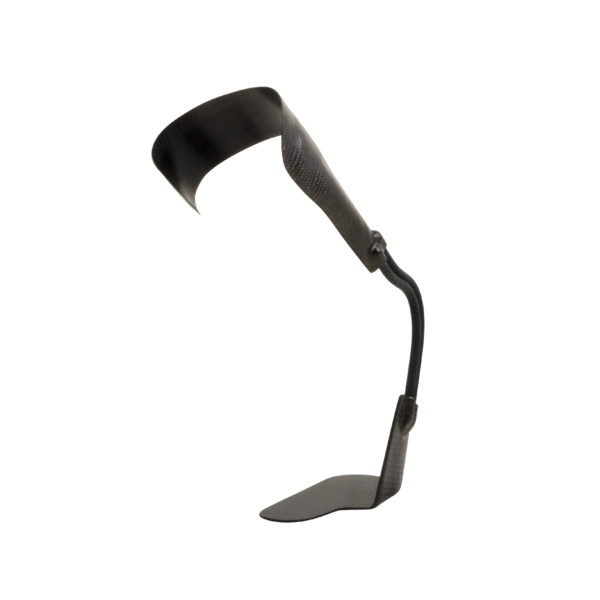 Dynamic Walk, Shoe Mount