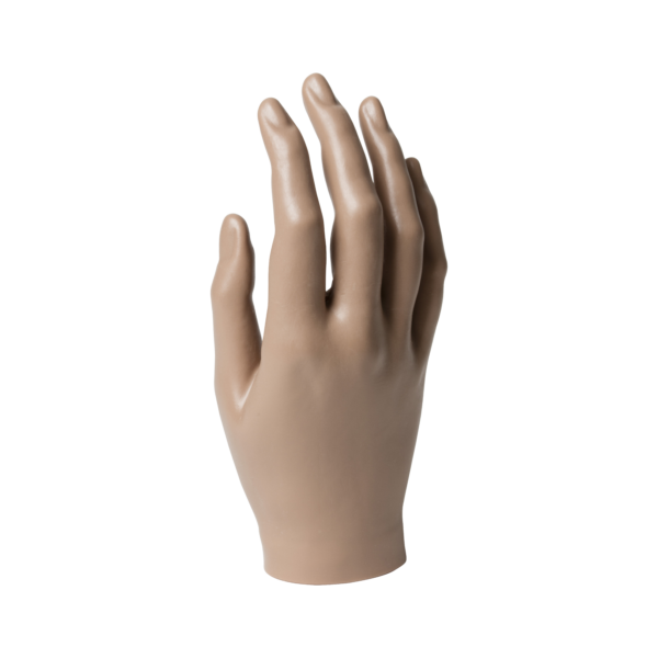Passive Hand, Female, Long Fingers and Nails