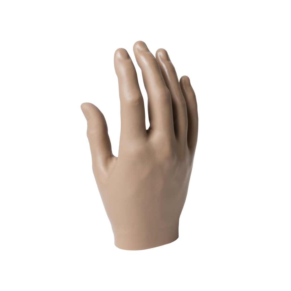 Passive Hand, Female