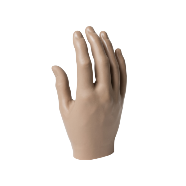Passive Hand, Female