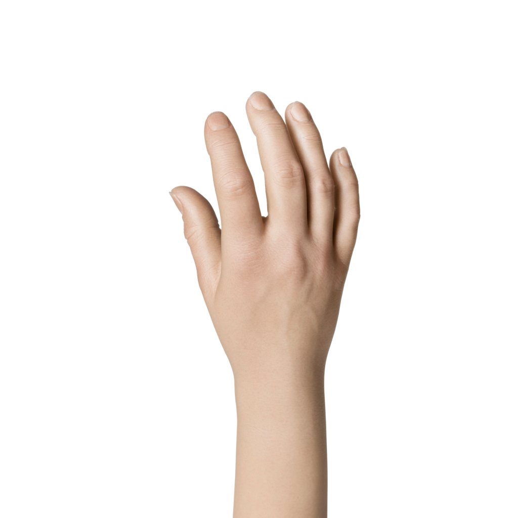 Natural Deifnition Glove, Female