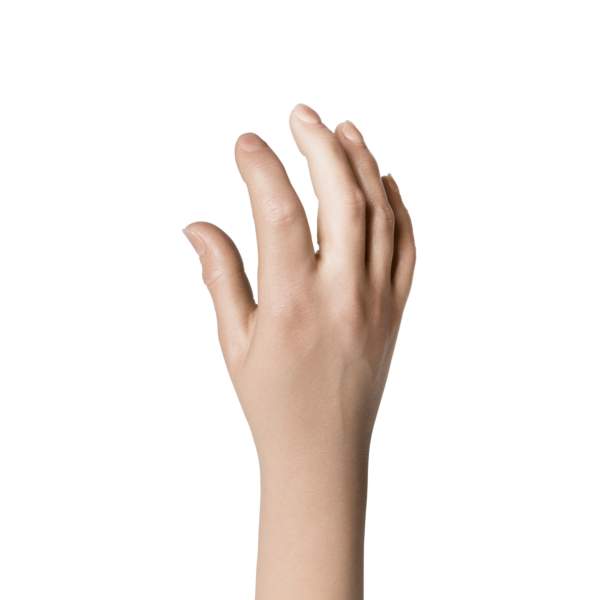 Natural definition Glove, Female, Prominent Skin Structure