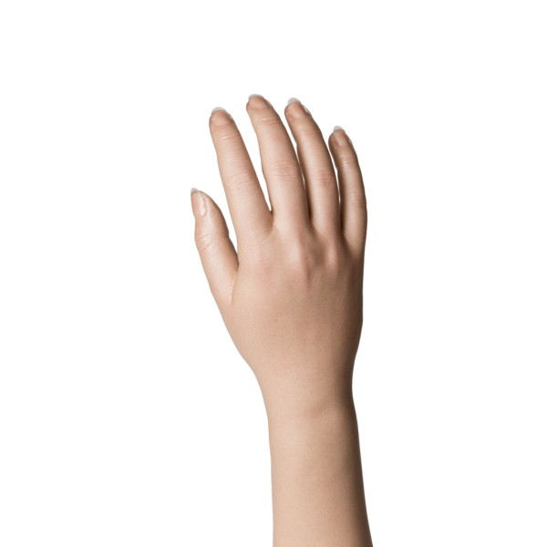 Natural Definition Glove, Female, Long Nails