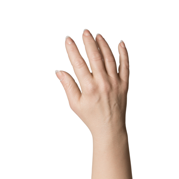 Natural Definition Glove, Female, Long Nails and Prominent Skin