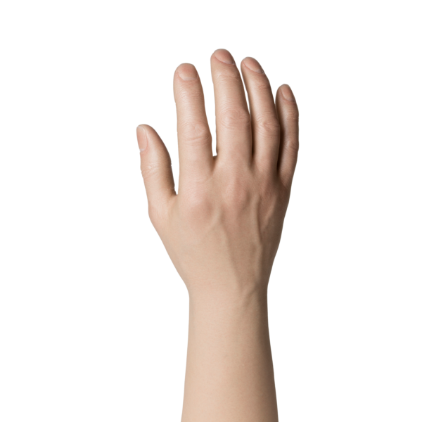 Natural Definition Glove, Male, Prominent Veins