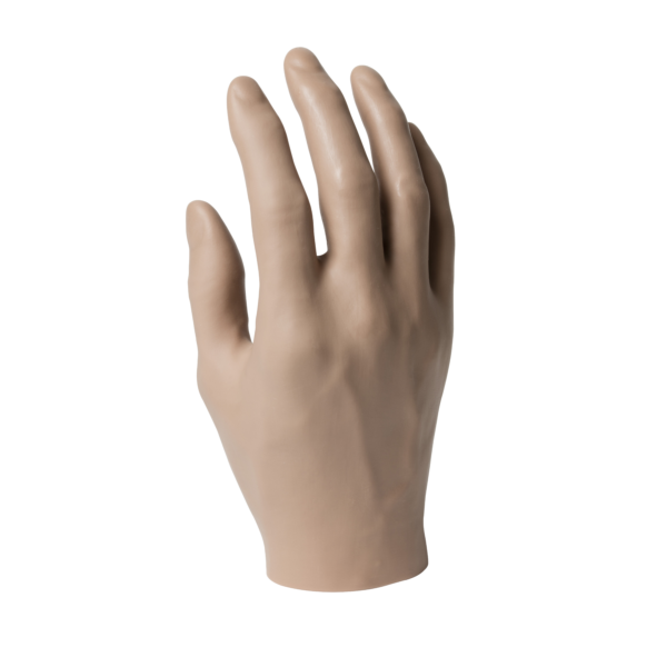 Passive Hand, Male, Prominent Veins