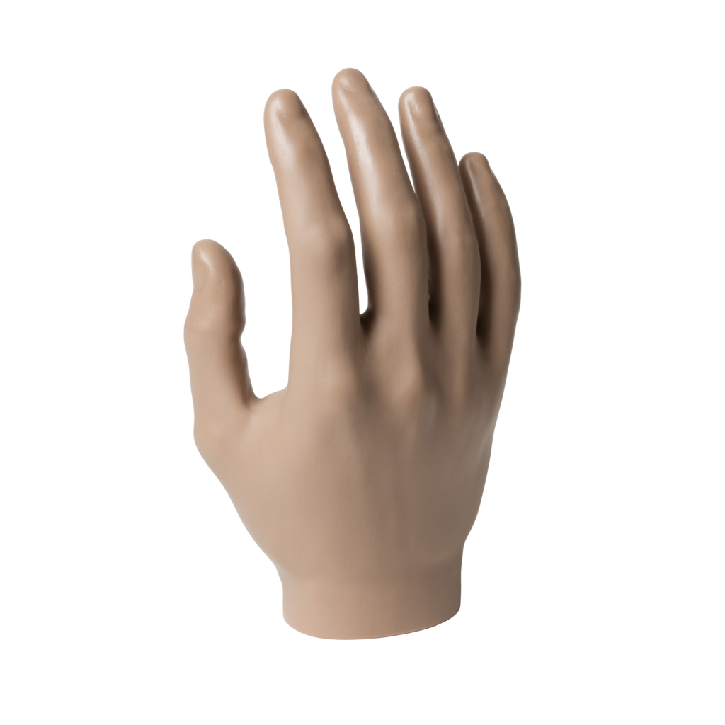 Passive Hand, Male