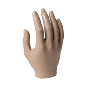 Passive Hand, Male