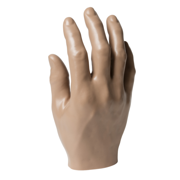 Passive Hand, Male, Long Fingers