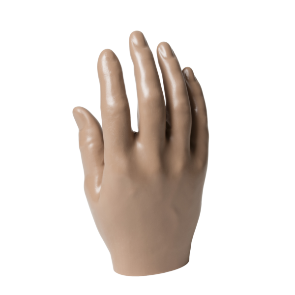 Passive Hand, Male Stout-Plump