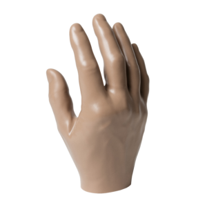 Passive Hand, Male Stout-Plump
