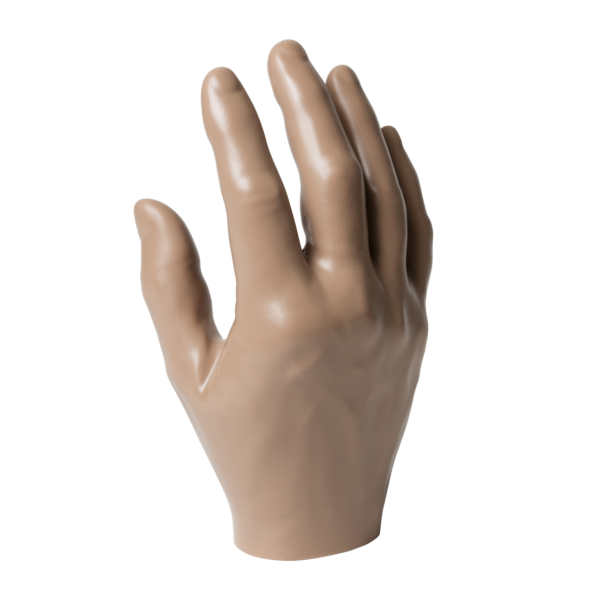 Passive Hand, Male Stout-Plump