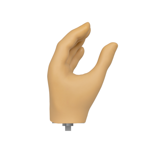 MC Hand with 1/2-20 Stud