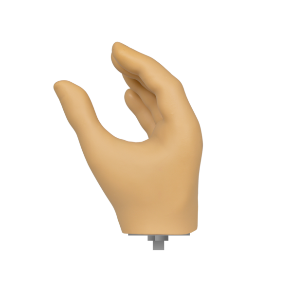 MC Hand with 1/2-20 Stud - Image 2