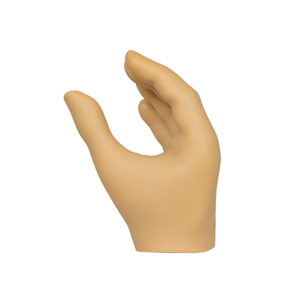 MC Hand with Wrist Disarticulation - Image 3