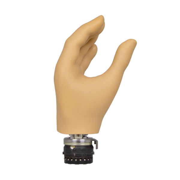 MC Hand with Flexion Wrist