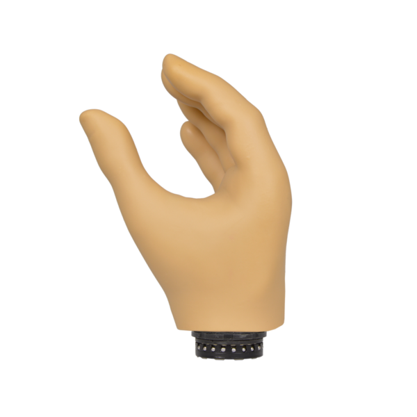 MC Hand - Short - Image 2