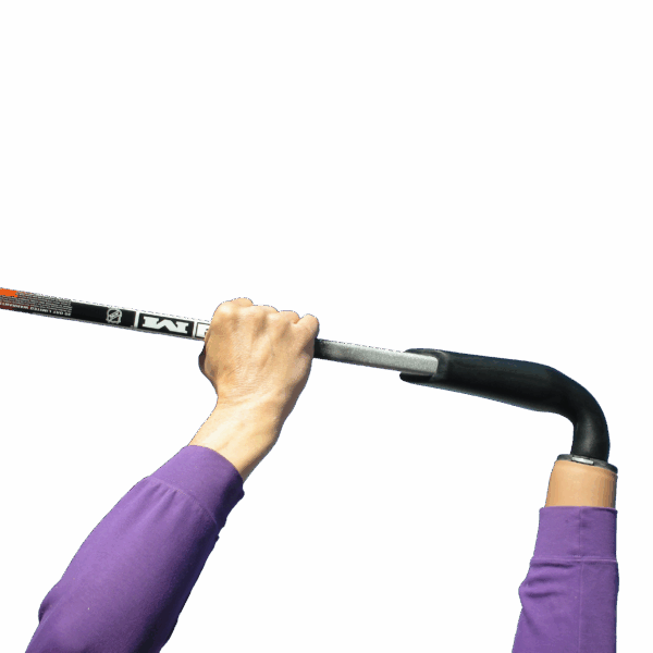 User demonstration of Power Play Hockey TD