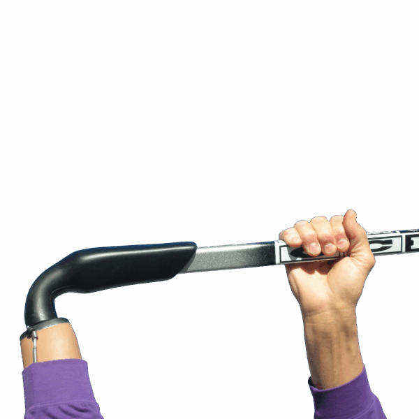 User demonstration of Power Play Hockey TD