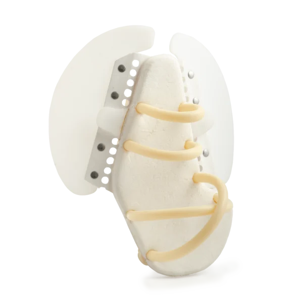 Swim Fin Kit