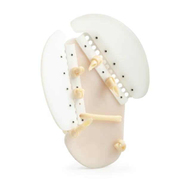 Swim Fin Kit
