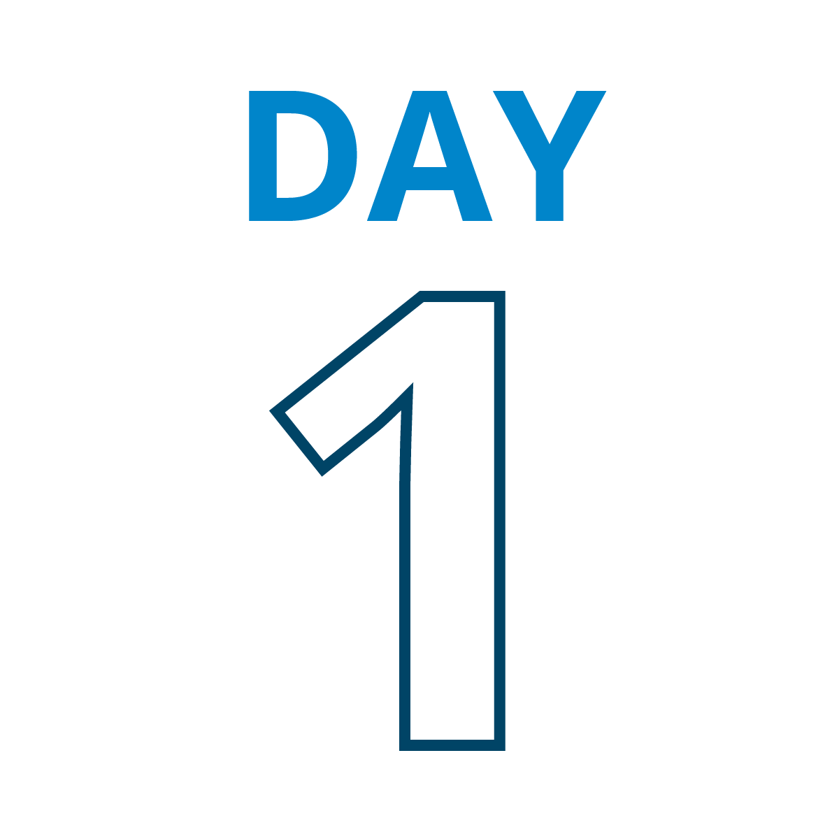Day 1