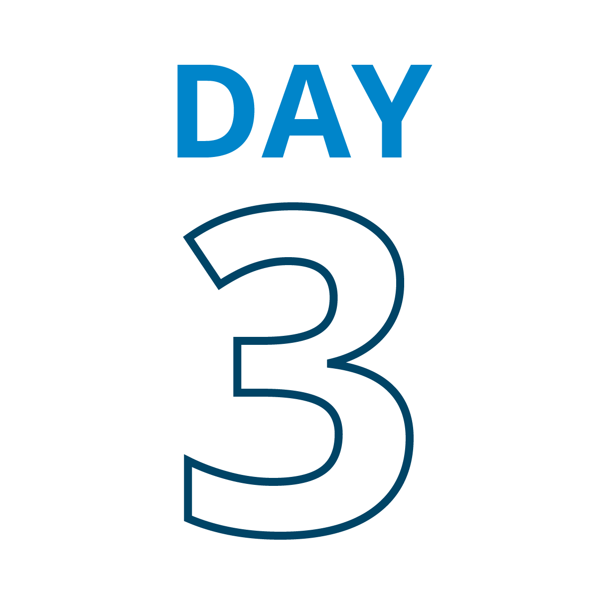 Day 3