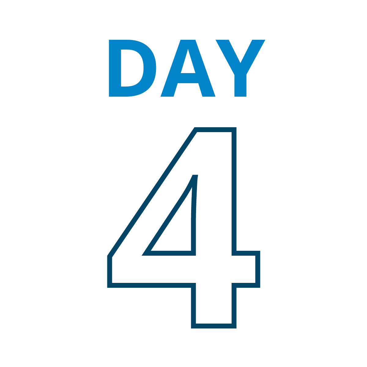 Day 4